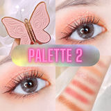 Eyeshadow Palette - 6 colors