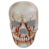 Skull Full Face Halloween Mask