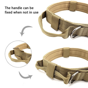 Large Tactical Dog Collar