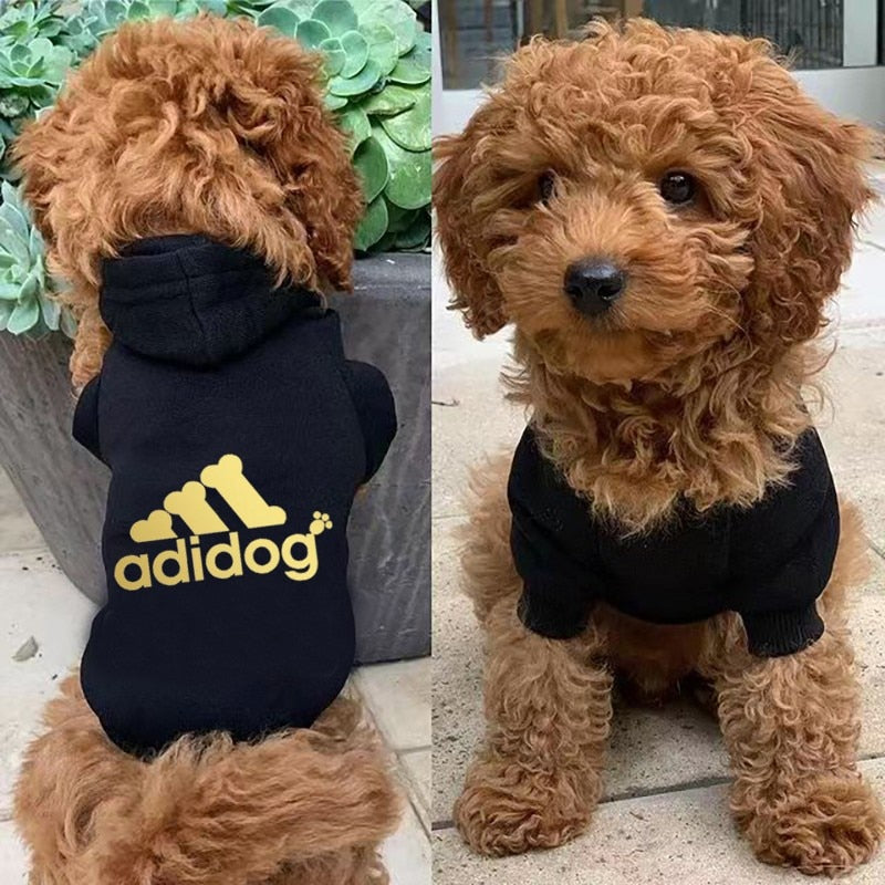 Cool Dog Hoodie Design