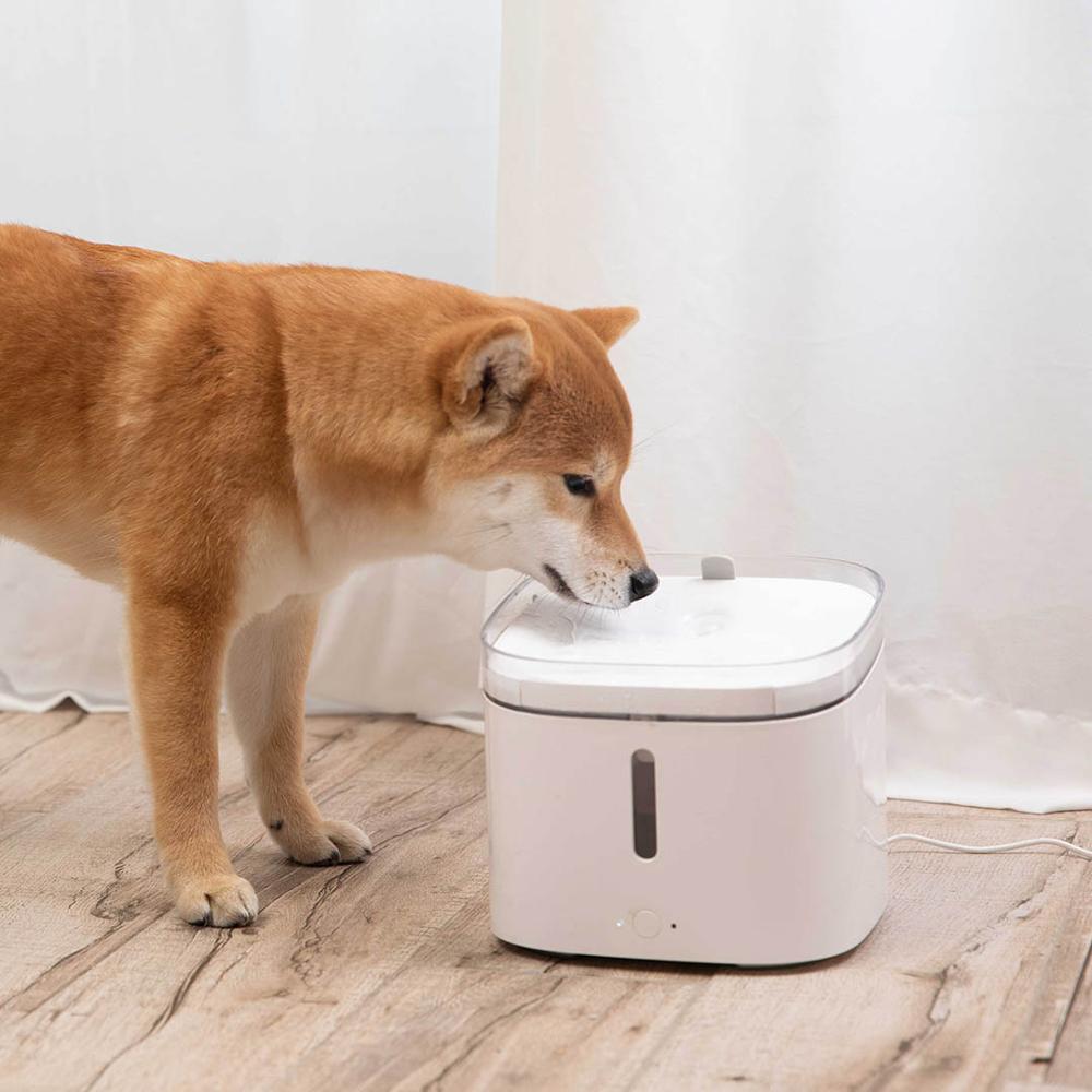 Smart Automatic Pet Water Dispenser